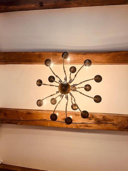 Historisch Grachtenpand In Centrum Apartment *